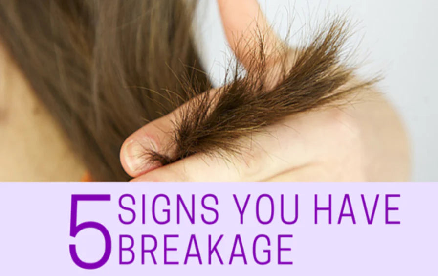 5 Signs You Have A Hair Breakage Problem